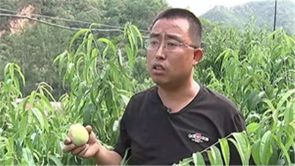 爱游戏(中国)手机版最新活动教学